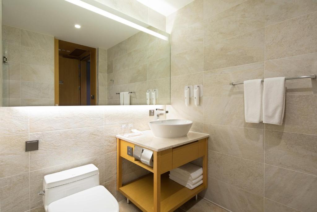 Sotetsu Hotels The Splaisir Seoul Dongdaemun