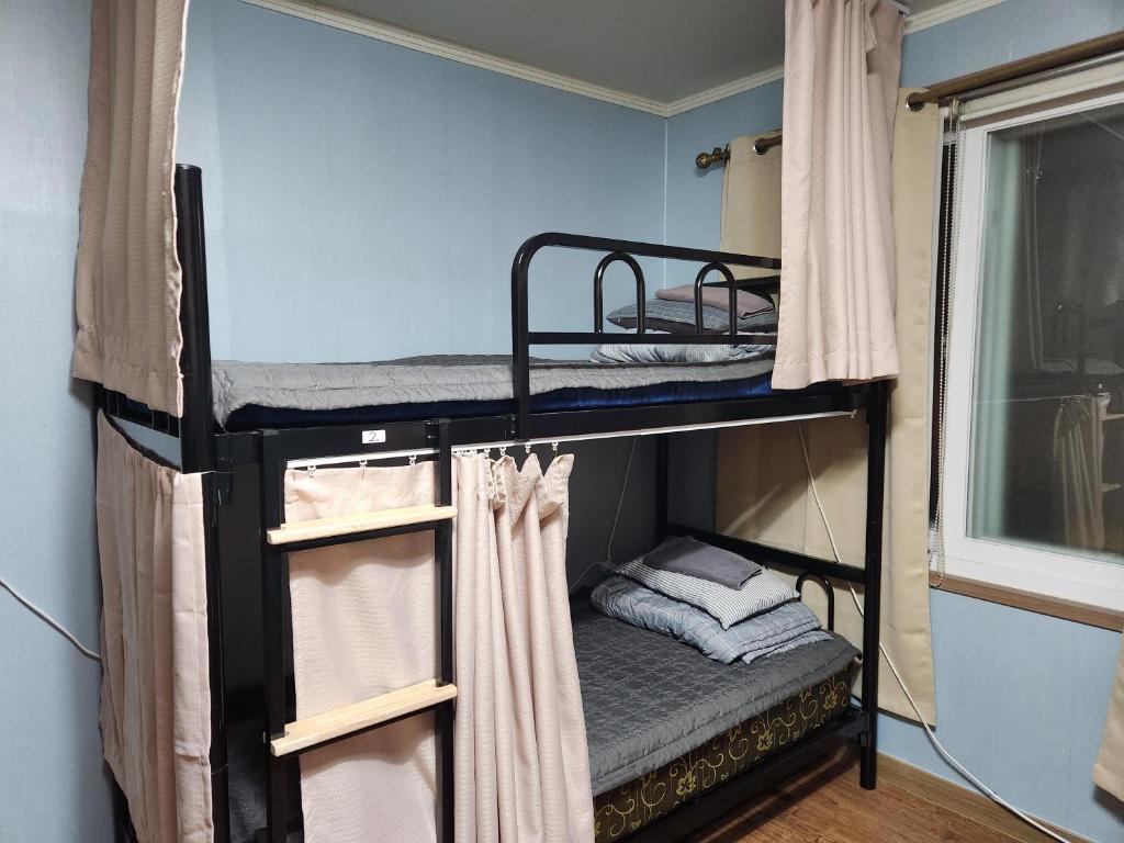Birdsnest Hostel Hongdae Foreigner only Birdsnest Hostel Hongdae Foreigner only