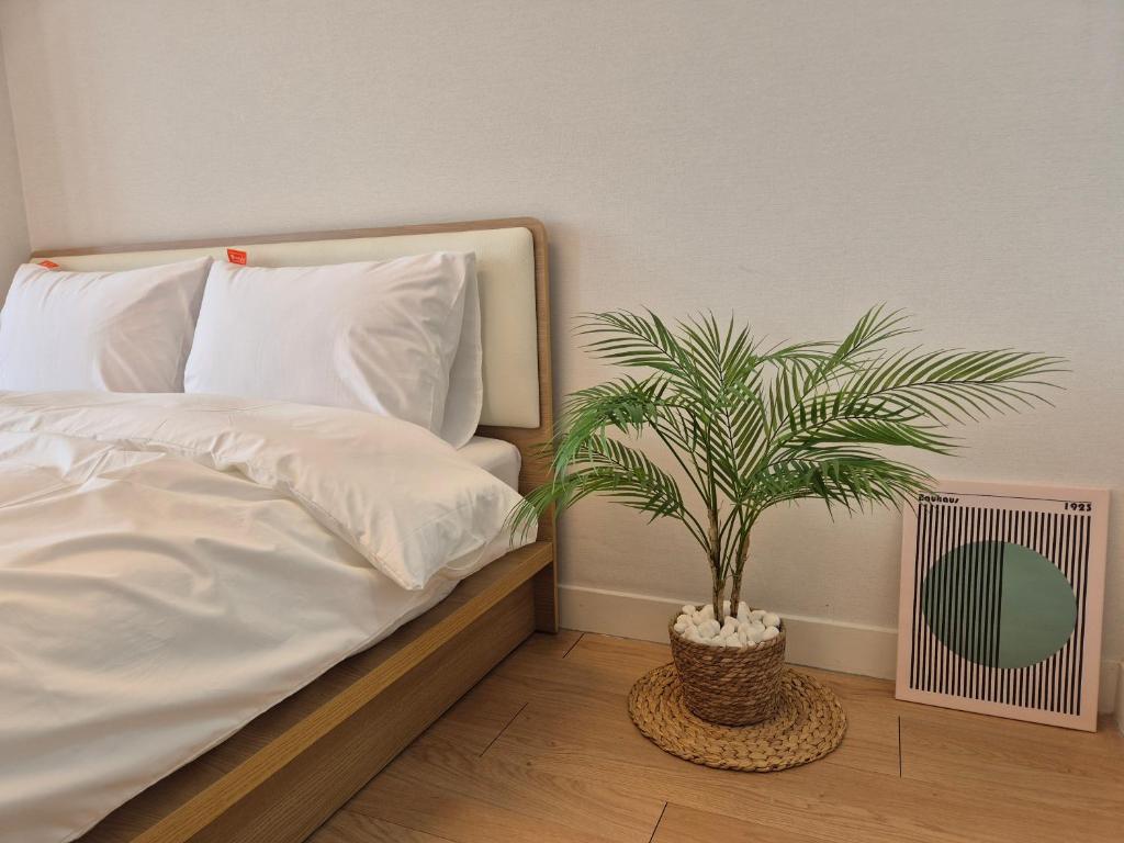 GRAND OPENED Maxtyle Guesthouse Dongdaemun